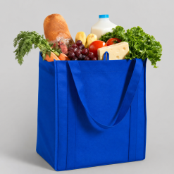 Makerhub CoolFresh Insulated Grocery Bag